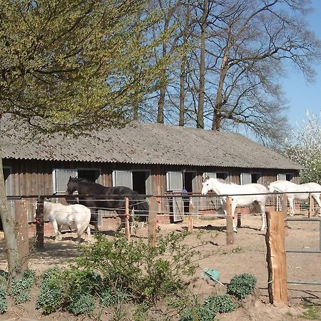 Ferienhof Schmidt Villa Ankum Kültér fotó