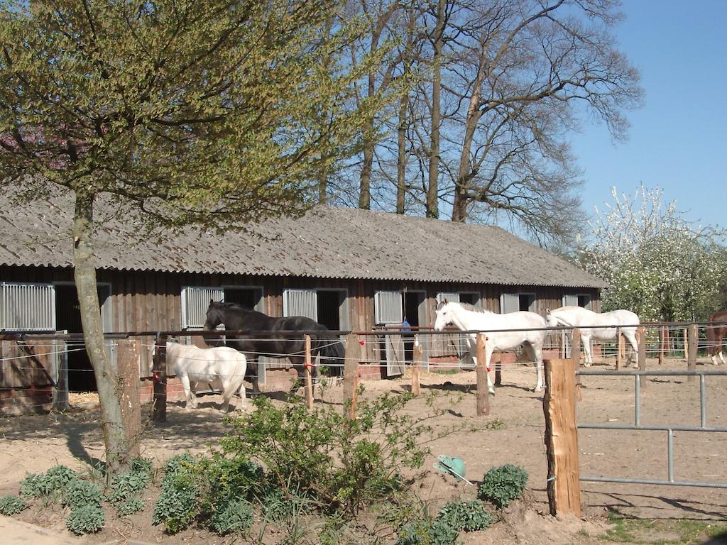 Ferienhof Schmidt Villa Ankum Kültér fotó